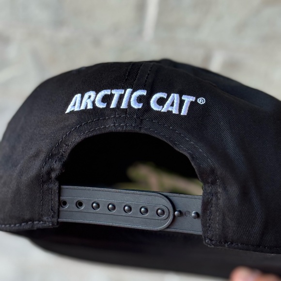 Arctic Cat - Picture 3 of 4